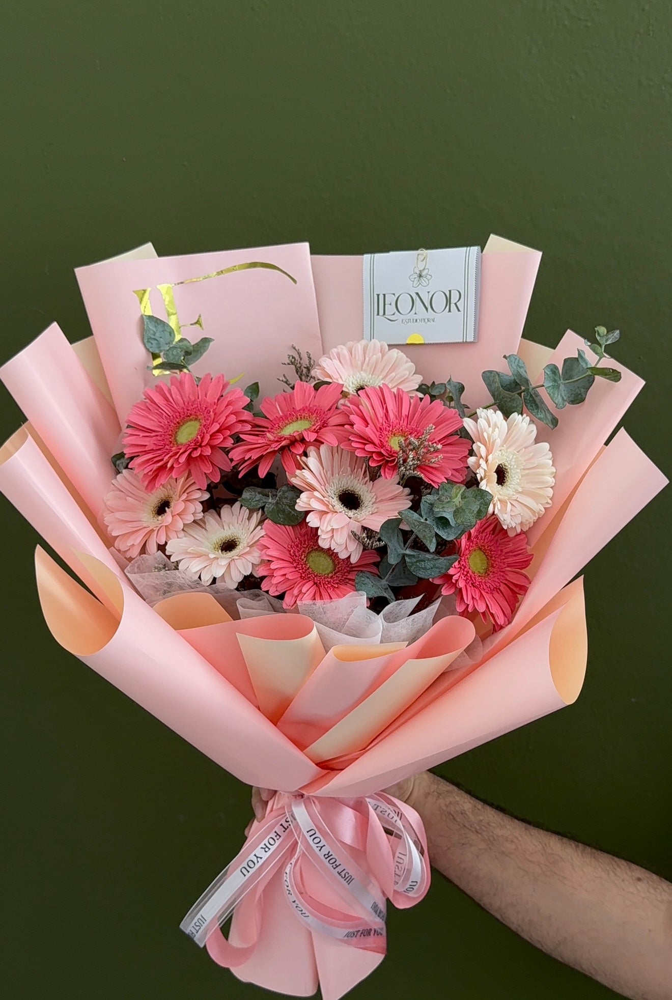 Bellas gerberas