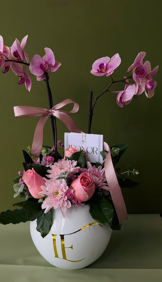 Orquídea floral