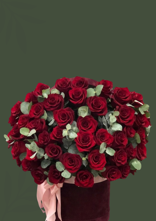 Diseño Fernanda