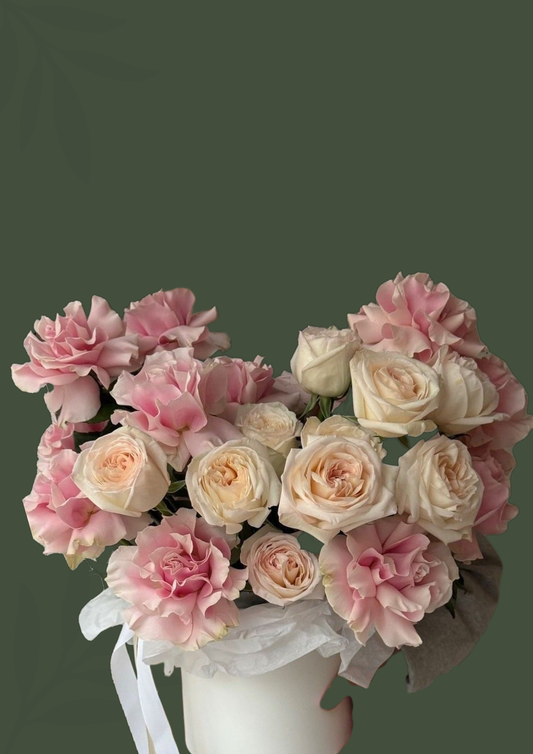 Diseño Franchesca