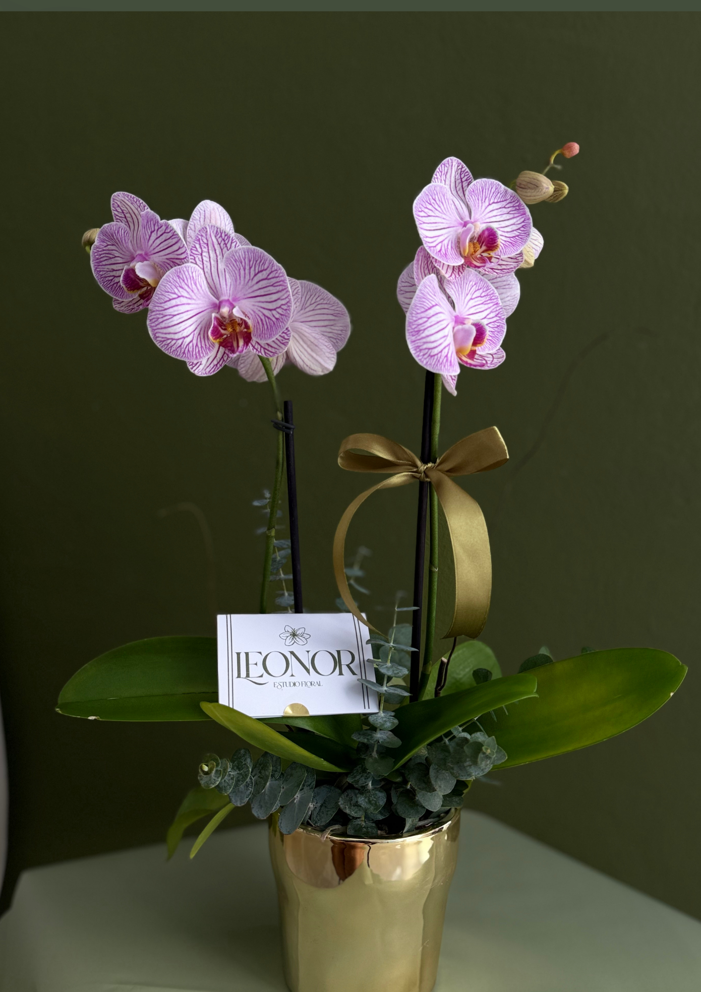 Orquídea